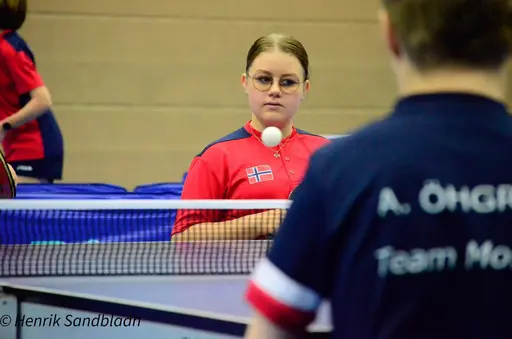 Bilder tagna av IFAH Parasportförening, Parasport Sverige och Henrik Sandbladh.