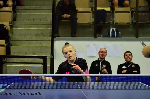 Bilder tagna av IFAH Parasportförening, Parasport Sverige och Henrik Sandbladh.