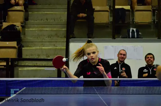 Bilder tagna av IFAH Parasportförening, Parasport Sverige och Henrik Sandbladh.
