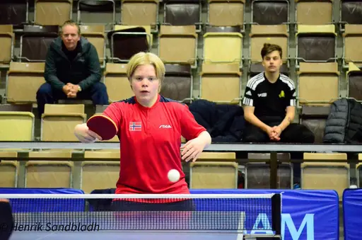 Bilder tagna av IFAH Parasportförening, Parasport Sverige och Henrik Sandbladh.