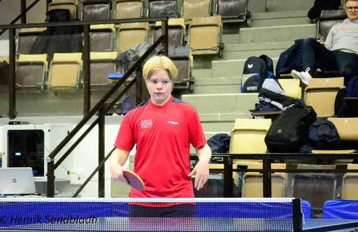 Bilder tagna av IFAH Parasportförening, Parasport Sverige och Henrik Sandbladh.