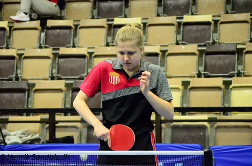 Bilder tagna av IFAH Parasportförening, Parasport Sverige och Henrik Sandbladh.