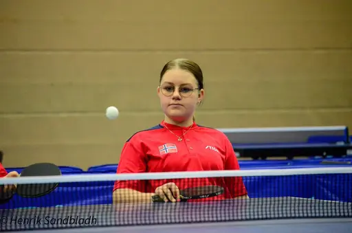 Bilder tagna av IFAH Parasportförening, Parasport Sverige och Henrik Sandbladh.