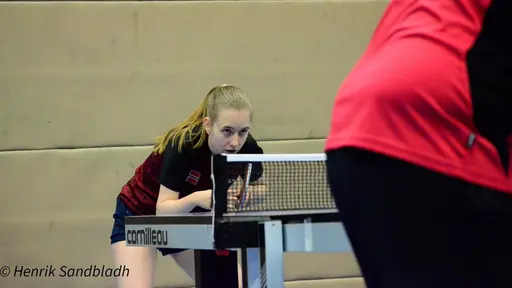 Bilder tagna av IFAH Parasportförening, Parasport Sverige och Henrik Sandbladh.