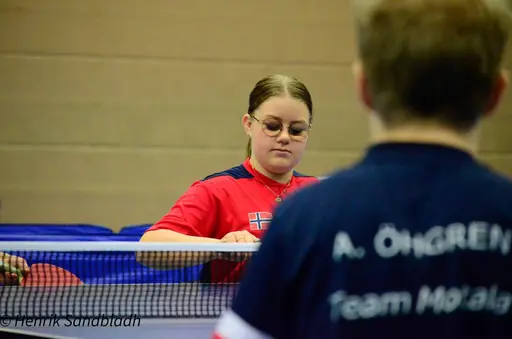 Bilder tagna av IFAH Parasportförening, Parasport Sverige och Henrik Sandbladh.
