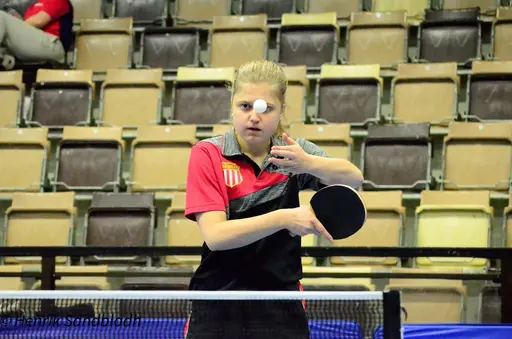 Bilder tagna av IFAH Parasportförening, Parasport Sverige och Henrik Sandbladh.