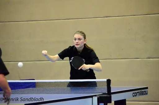 Bilder tagna av IFAH Parasportförening, Parasport Sverige och Henrik Sandbladh.