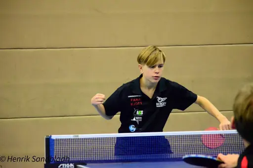 Bilder tagna av IFAH Parasportförening, Parasport Sverige och Henrik Sandbladh.