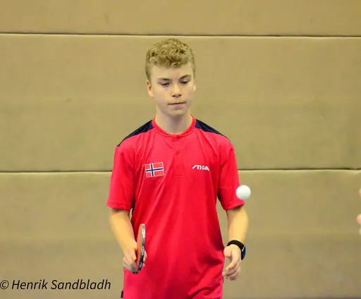 Bilder tagna av IFAH Parasportförening, Parasport Sverige och Henrik Sandbladh.