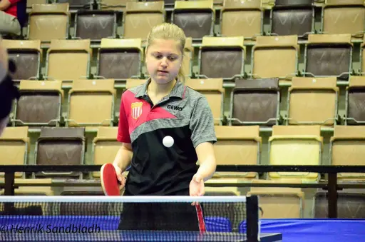Bilder tagna av IFAH Parasportförening, Parasport Sverige och Henrik Sandbladh.