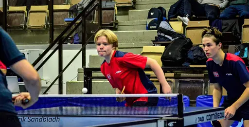 Bilder tagna av IFAH Parasportförening, Parasport Sverige och Henrik Sandbladh.