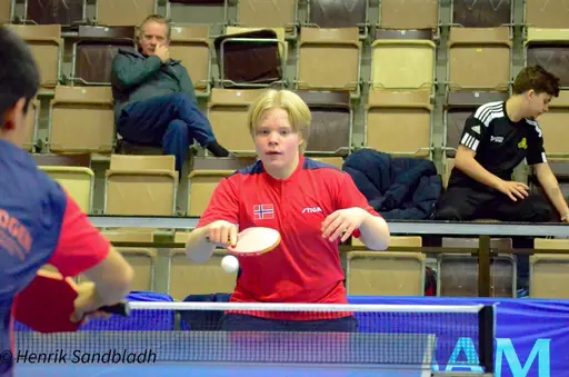 Bilder tagna av IFAH Parasportförening, Parasport Sverige och Henrik Sandbladh.