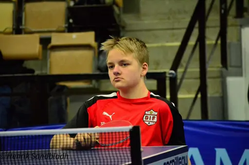 Bilder tagna av IFAH Parasportförening, Parasport Sverige och Henrik Sandbladh.