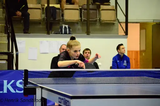 Bilder tagna av IFAH Parasportförening, Parasport Sverige och Henrik Sandbladh.