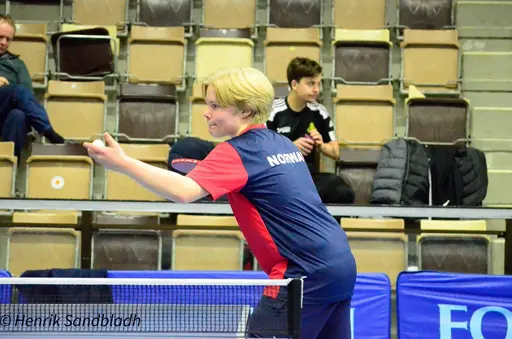 Bilder tagna av IFAH Parasportförening, Parasport Sverige och Henrik Sandbladh.