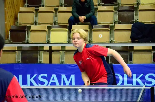 Bilder tagna av IFAH Parasportförening, Parasport Sverige och Henrik Sandbladh.