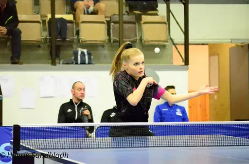 Bilder tagna av IFAH Parasportförening, Parasport Sverige och Henrik Sandbladh.