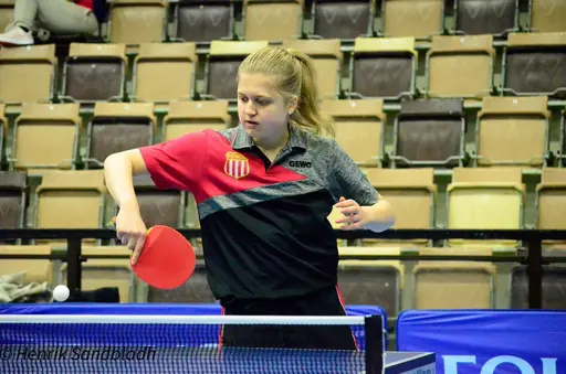 Bilder tagna av IFAH Parasportförening, Parasport Sverige och Henrik Sandbladh.