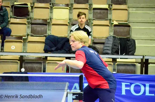 Bilder tagna av IFAH Parasportförening, Parasport Sverige och Henrik Sandbladh.