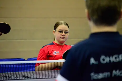 Bilder tagna av IFAH Parasportförening, Parasport Sverige och Henrik Sandbladh.