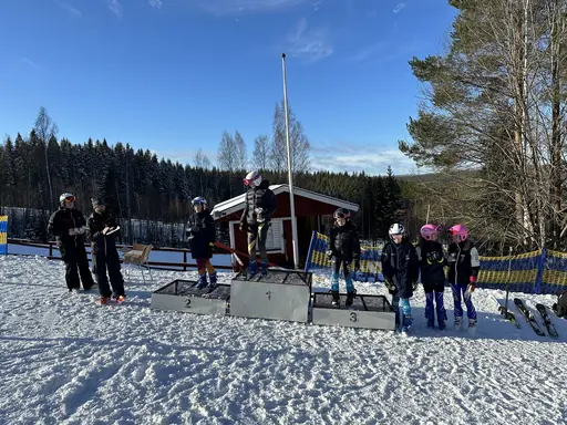 Dagens pallplatser!
