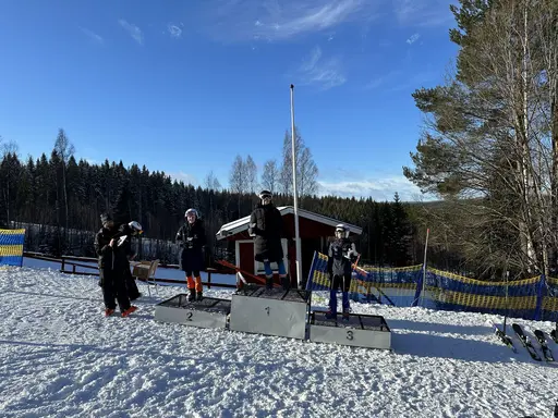 Dagens pallplatser!
