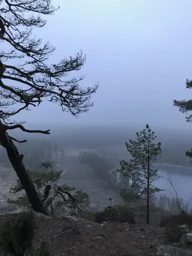 Utsikten vid Veksjöberget på vita och gröna spåret, med lätt pudersnö på backen och i dimma. Tredje bilden är från 14 km-spåret.
