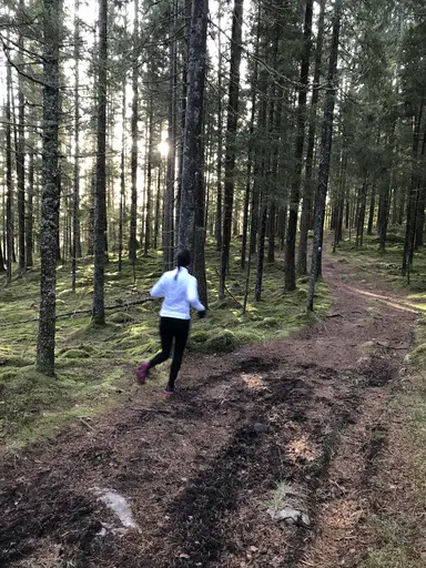 Utsikten vid Veksjöberget på vita och gröna spåret, med lätt pudersnö på backen och i dimma. Tredje bilden är från 14 km-spåret.