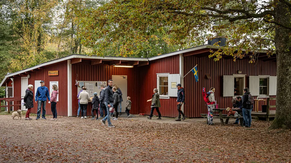 Bastasjöstugan, 2021.