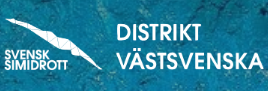 VSSF