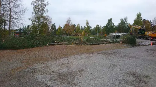 Nu startar förberedelserna med att rensa bort träden som står ivägen...