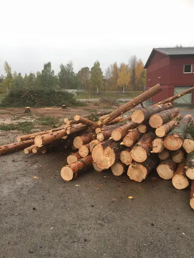 Massor med virke blev det... och panelen på gaveln bortriven för att ge plats till den nya grundplattan...