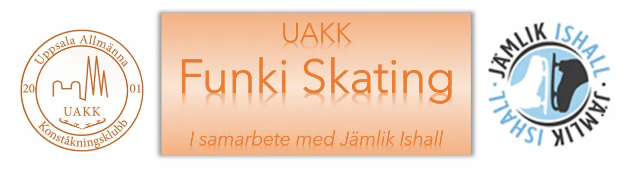 Har du en funktionsvariation och vill åka skridskor?