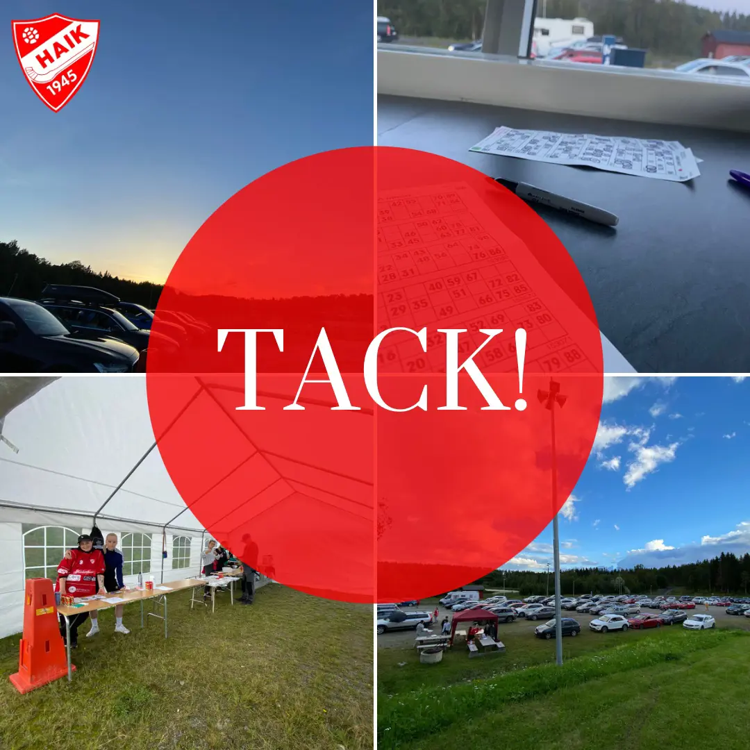Bilder från bilbingon