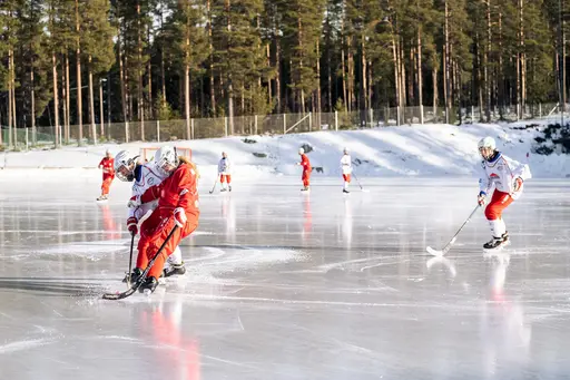 Bilder av Liam Johansson