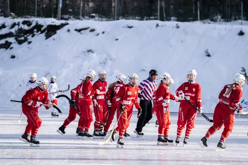 Bilder av Liam Johansson