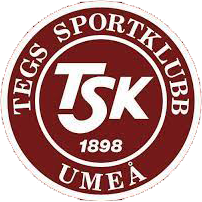 Tegs SK Hockey Ungdom