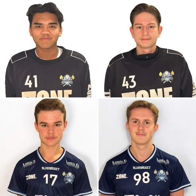 Max, Gustav, Albin och Oscar redo för ny säsong i FIBF.