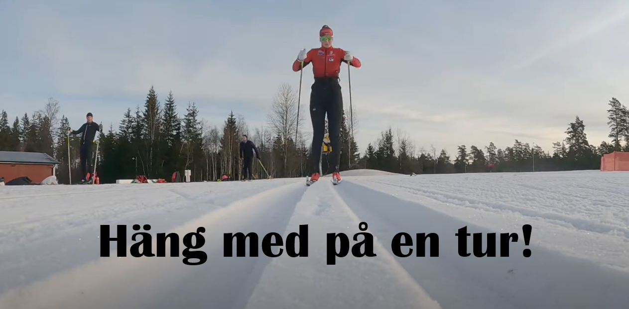 Skidpåret