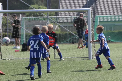 Första upplagan av FIFcupen blev en succé! 