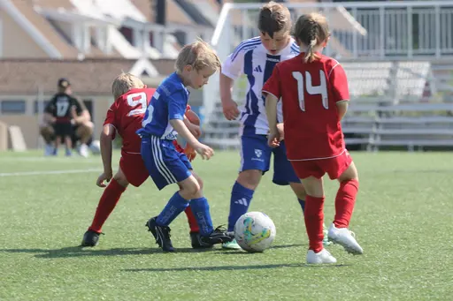 Första upplagan av FIFcupen blev en succé! 