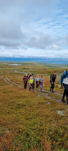 Svepande utsikt från Pieljekaise-toppen - Naturupplevelse utöver det vanliga! 🏔️