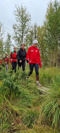Svepande utsikt från Pieljekaise-toppen - Naturupplevelse utöver det vanliga! 🏔️