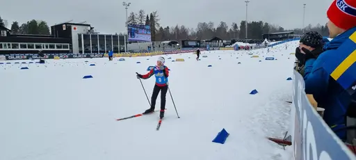 Klicka på bilden för att förstora