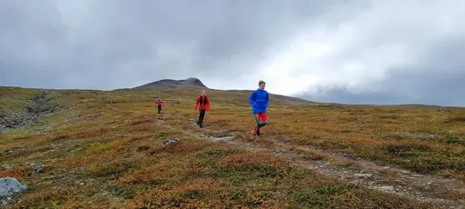 Svepande utsikt från Pieljekaise-toppen - Naturupplevelse utöver det vanliga! 🏔️