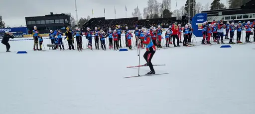 Klicka på bilden för att förstora