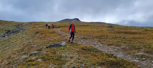 Svepande utsikt från Pieljekaise-toppen - Naturupplevelse utöver det vanliga! 🏔️