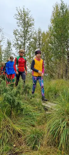 Svepande utsikt från Pieljekaise-toppen - Naturupplevelse utöver det vanliga! 🏔️