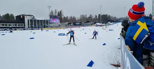 Klicka på bilden för att förstora