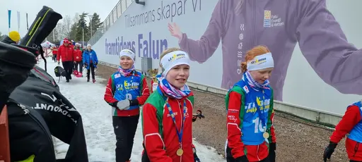 Klicka på bilden för att förstora